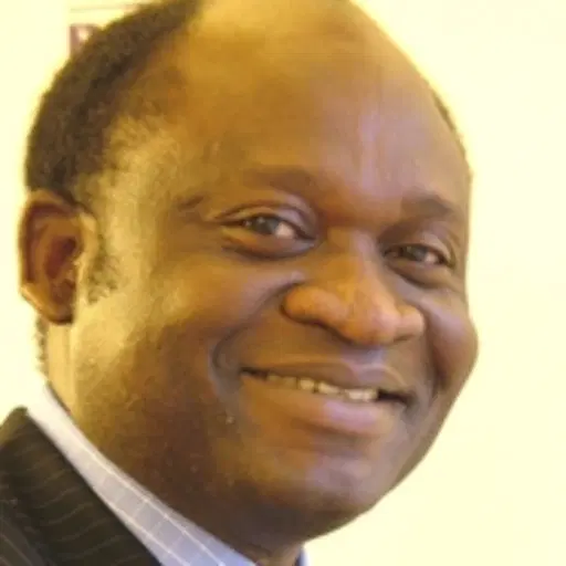 Tinubu lacks the will for national consensus building