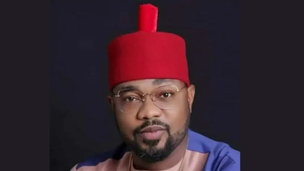 Ikenga Ugochinyere named leader of Imo PDP