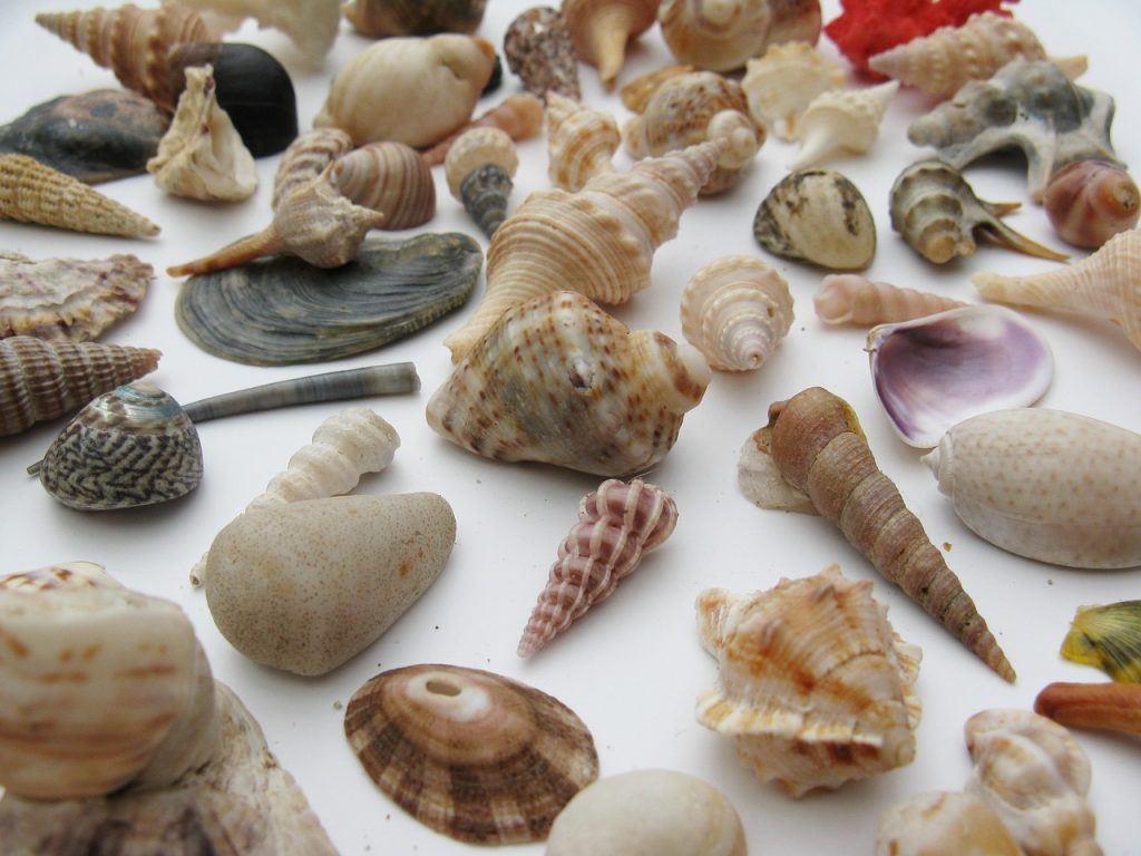 Scholarships For Students Studying Marine Biology
