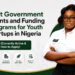 Government Grants and Funding Programs for Youth Startups in Nigeria