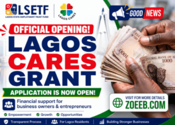 Lagos CARES Grant Is Officially Open