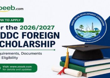 How to Apply for the 2026/2027 NDDC Foreign Scholarship: Requirements, Documents and Eligibility