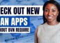Loans Without BVN Verification