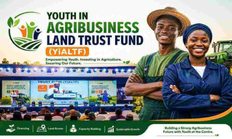 FG Launches YiALTF Program