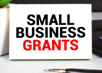 Mini Entrepreneur Grant