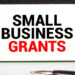 Mini Entrepreneur Grant