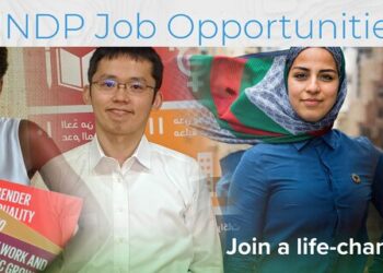UNDP Opens Remote AI Internship with $500 Monthly Stipend - Application Details