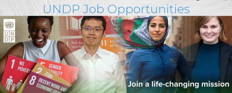 UNDP Opens Remote AI Internship with $500 Monthly Stipend - Application Details