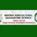 NAQS Recruitment: 21 Things Applicants Must Take to Physical Screening