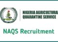 NAQS Recruitment News Today 2026 Portal, Shortlisted Candidates – Latest Updates, Application Guide, Requirements & How to Check Your Name