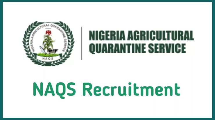 NAQS Recruitment News Today 2026 Portal, Shortlisted Candidates – Latest Updates, Application Guide, Requirements & How to Check Your Name