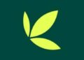 Bamboo App Crashes