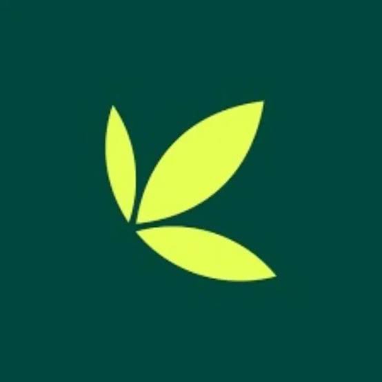 Bamboo App Crashes