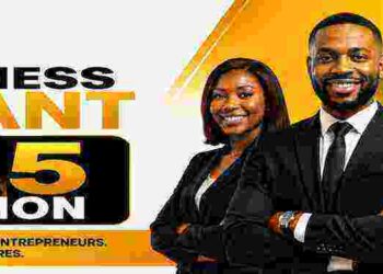 Skyewise Foundation ₦15 Million Business Grant 2026