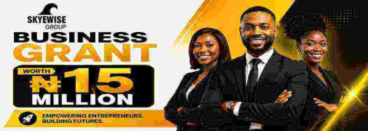 Skyewise Foundation ₦15 Million Business Grant 2026